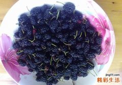 桑葚和蜂蜜能泡一起吗 什么人不能将桑葚和蜂蜜一起吃