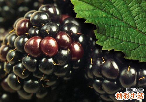 桑葚吃多了会便秘吗 吃桑葚便秘怎么办