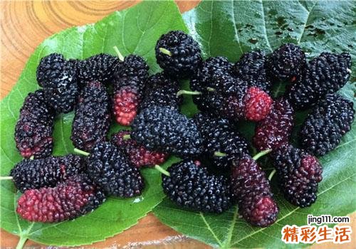 桑葚吃多了会拉肚子吗 吃桑葚吃多了拉肚子怎么办