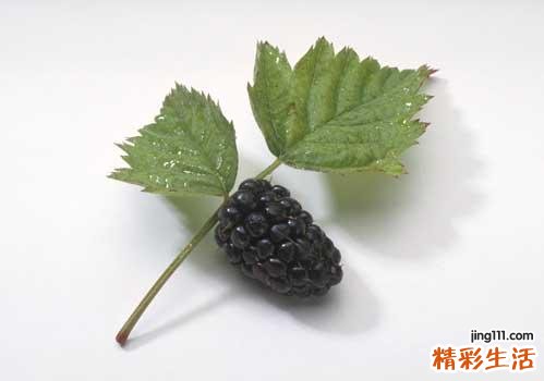 桑葚要用盐水泡吗 要泡多长时间