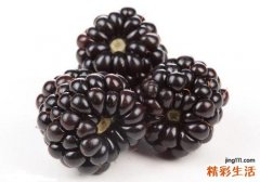 桑葚吃多了怎么办 一天吃多少最好