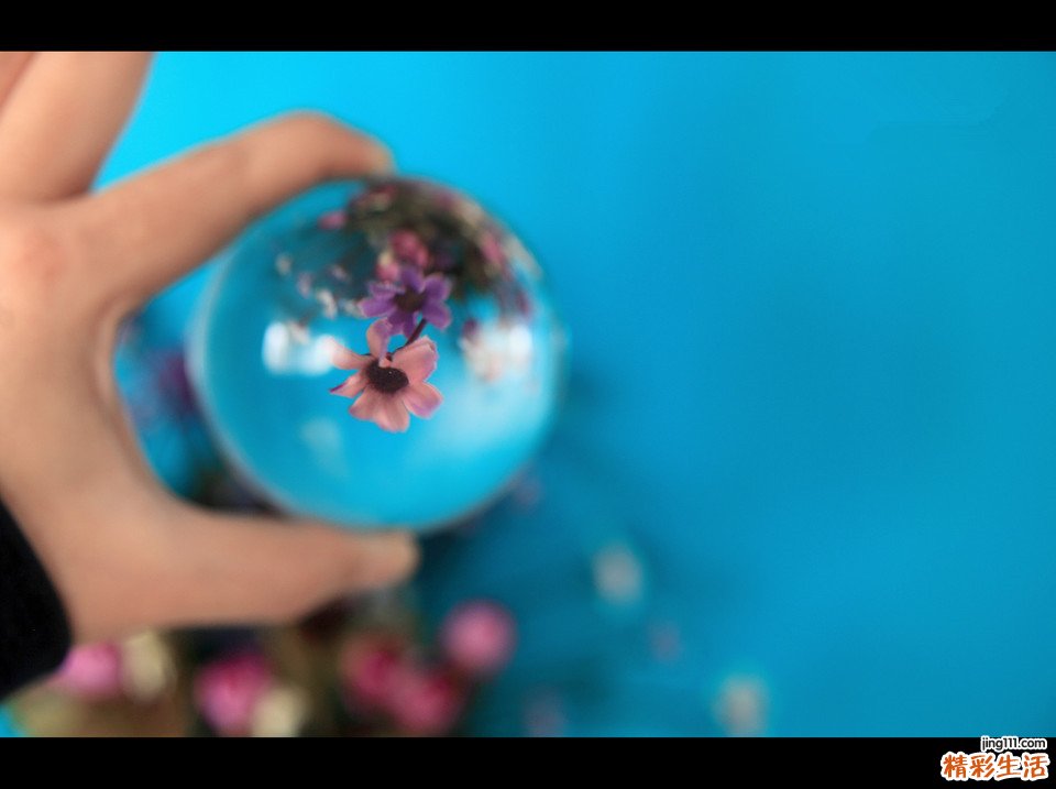 脑萎缩对生命的危害有哪些