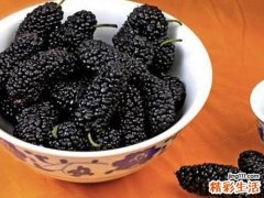 桑椹有什么好处 购买桑椹需注意什么