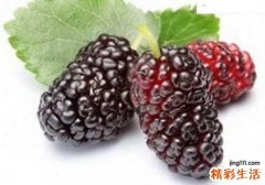 桑葚发霉可以吃吗 吃了发霉的桑葚怎么办
