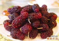 吃完桑葚可以喝鱼汤吗 桑葚和鱼汤一起吃有什么好处
