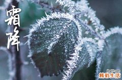 2023年霜降是农历几月几日 霜降吃什么传统食物