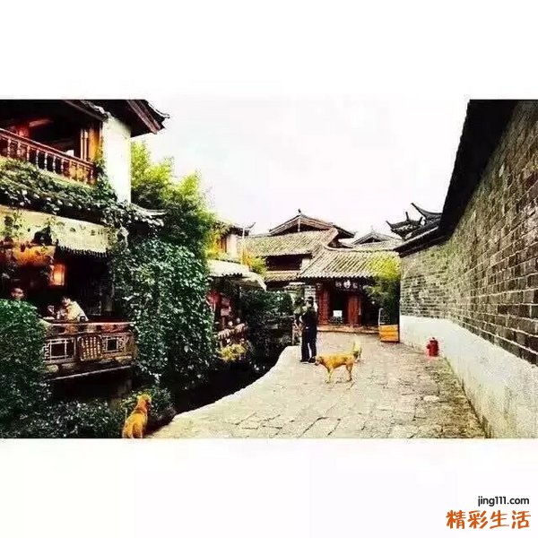 青光眼患者 合理饮食很重要