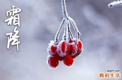 霜降气温一般多少度 2023年霜降温度会很低吗