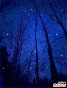 喜欢狗的男生是什么心理