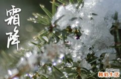 2023年霜降是几点几分几秒2023霜降是哪一天