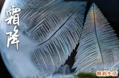 2023霜降节气是哪一天 2023年霜降节气是几月几日