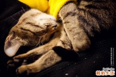 怎样预防胃肠道外瘘，胃肠道外瘘的护理