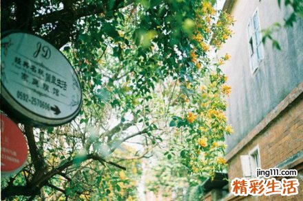 眼睑闭合障碍是怎么回事？