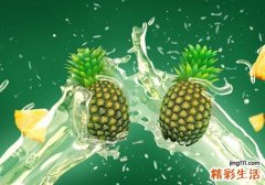 狗狗可以吃菠萝吗 震惊!狗狗吃菠萝居然会这样