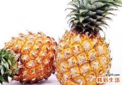 吃菠萝胃不舒服怎么办 为什么吃菠萝会胃痛