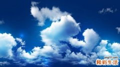 党参的吃法_哪些人不能吃党参