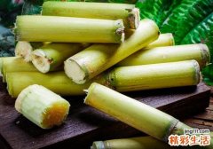甘蔗可以和牛奶同吃吗 吃完甘蔗能喝牛奶吗