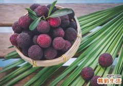 杨梅和火龙果可以一起吃吗 杨梅和火龙果一起吃会怎样