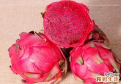 吃火龙果可以治便秘吗 怎么吃火龙果治便秘