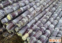 甘蔗的热量高吗 经常吃甘蔗会发胖吗