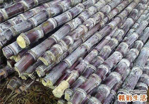 甘蔗的热量高吗 经常吃甘蔗会发胖吗