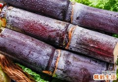 买了甘蔗怎么保存 买甘蔗怎么选好的