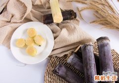 白皮红心甘蔗能吃吗 红心甘蔗多久中毒