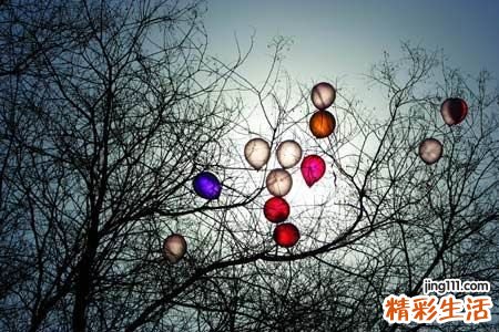 3 仙桃草