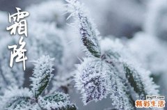 2023霜降是哪一天几月几号 2023年霜降是在哪天几月几日