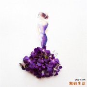 4 岩茴香
