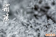 2023霜降是农历几月几日 2023年霜降节气是农历几月几号