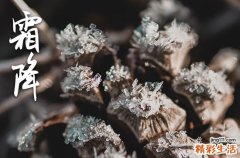 2023北京霜降吃什么 2023北京霜降节气传统食物有哪些