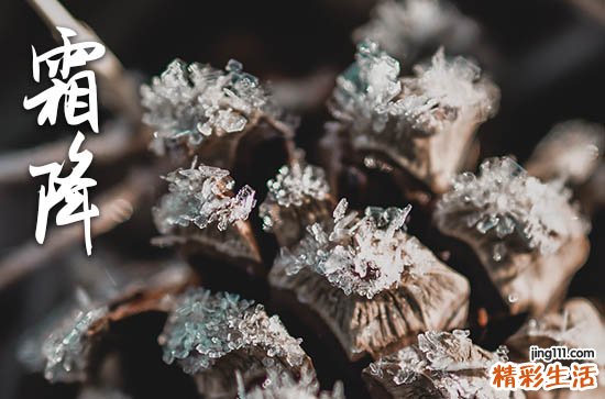 2023北京霜降吃什么 2023北京霜降节气传统食物有哪些