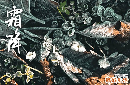 2023年霜降后天气还热吗 霜降温度会很低吗