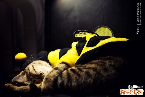 讲述：“性”与血友病