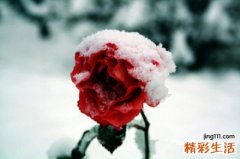 2 感冒针灸疗法