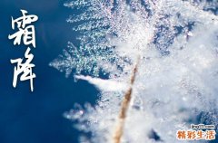 今年霜降是哪一天几月几号 2023年霜降节气是什么时候