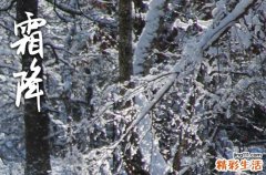 2023朋友圈的霜降祝福文案