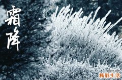 2023家人群的霜降祝福语