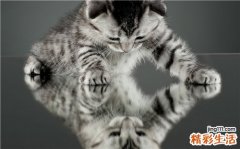 艳后烟熏眼妆 可防眼部感染