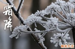 2023微博的霜降祝福语