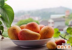 芒果上有黑点还能吃吗 芒果怎么样保存