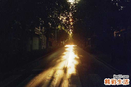 秋季美容瘦身食谱有哪些?