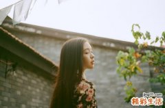 低脂瘦身晚餐，想瘦的MM不能错过