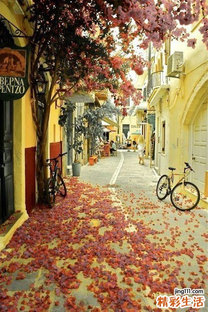 紫苏鸭怎么做最有营养