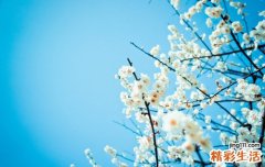 生活中哪些物品会造成不孕？