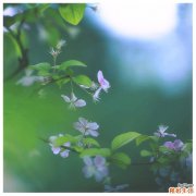 烟雾病的并发症