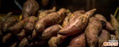 红薯可以和冬枣同吃吗 红薯和冬枣一起会怎么样