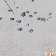 怎样预防韦尼克脑病，韦尼克脑病的护理