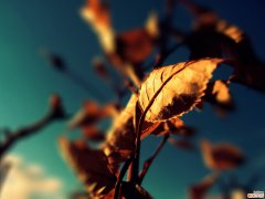 2 职场攻略 人际交往的26个技巧